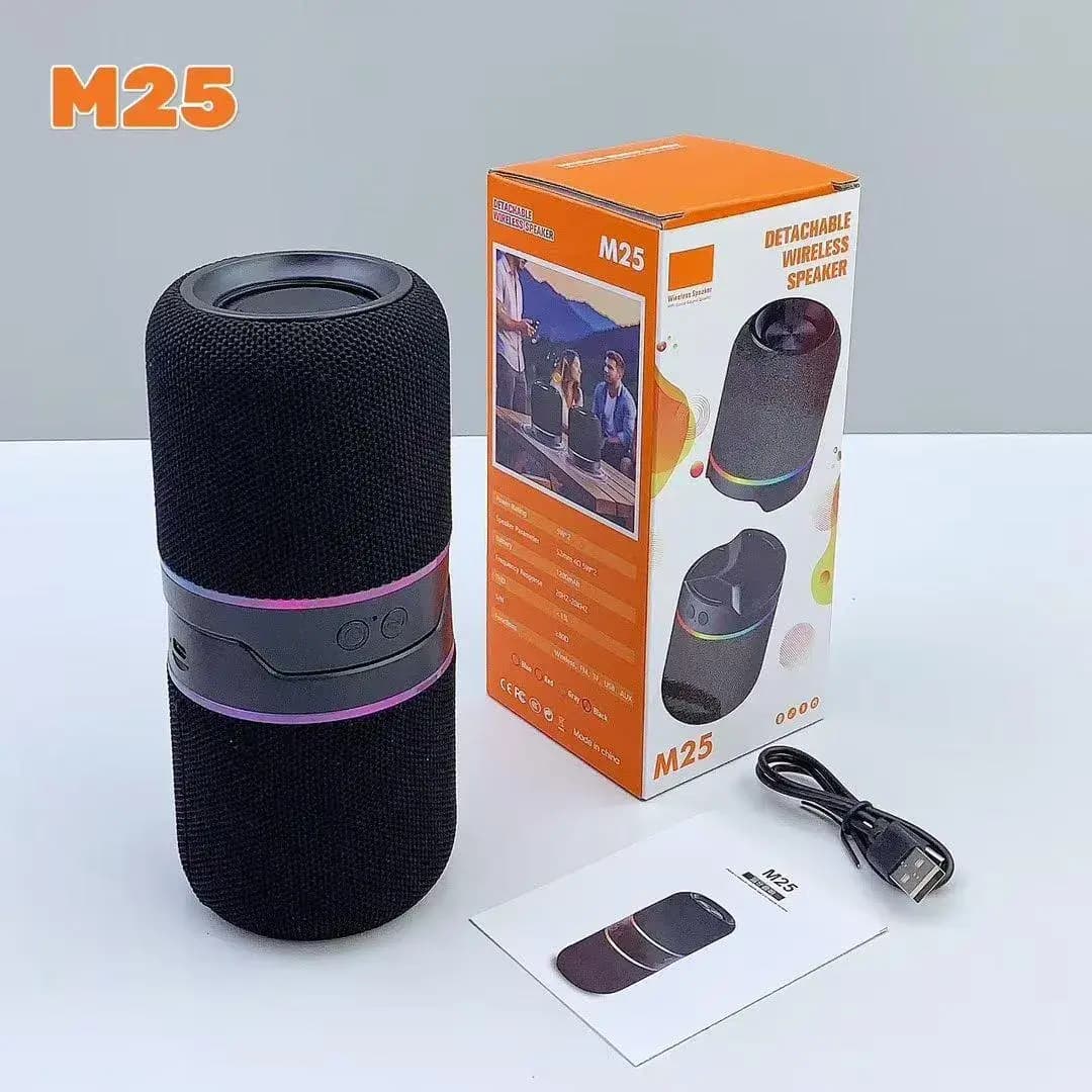 M25 Two-In-One Split Wireless DJ Speaker